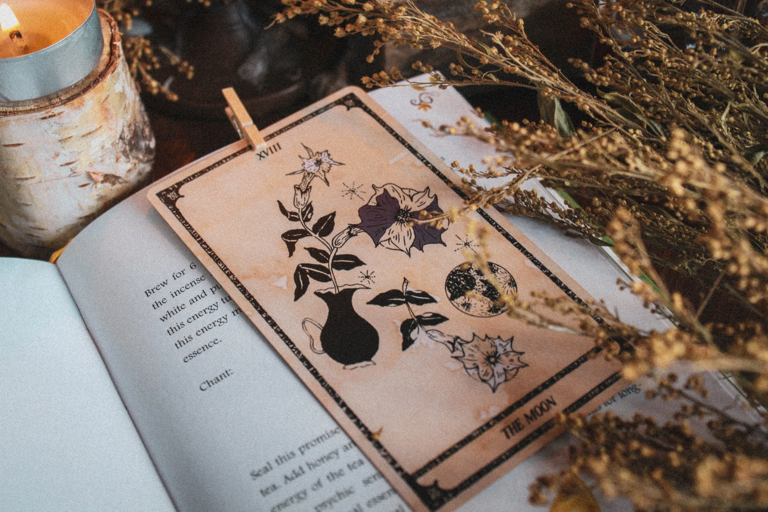 Viola Lux Umbra Review — Spirit Element